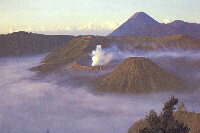 bromo